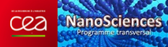 Programme Nanosciences